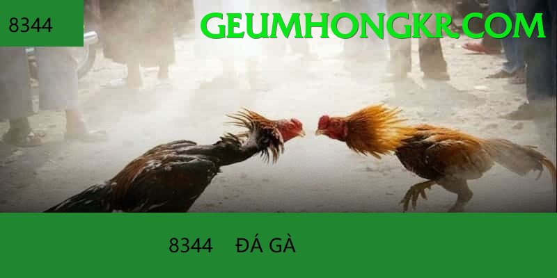 Trường Đấu Đá Gà Chuyên Nghiệp